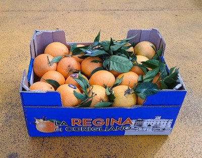 Foto Arance Navel Affogliate Calibro 6 Origine Italia Marchio La Regina di Corigliano         1
