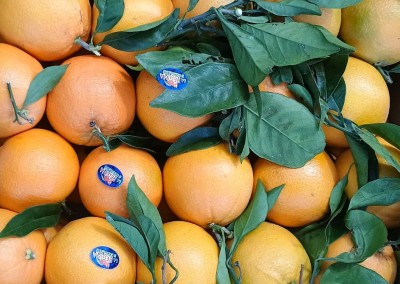 Foto Arance Navel Affogliate Calibro 6 Origine Italia Marchio La Regina di Corigliano         2