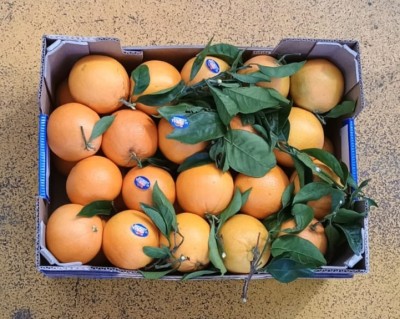 Foto Arance Navel Affogliate Calibro 6 Origine Italia Marchio La Regina di Corigliano         3