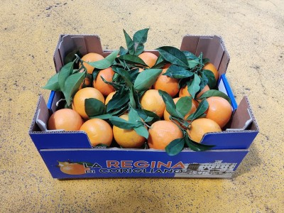 Foto Arance  Navel Calibro 8 Origine Italia Marchio La Regina di Corigliano  1