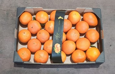 Foto Arance New Hall Calibro 60 Origine Italia Marchio Altimari  3