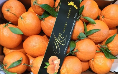 Foto Arance Varietà New Hall Calibro 90 Origine Italia Marchio Cartone Nero  2