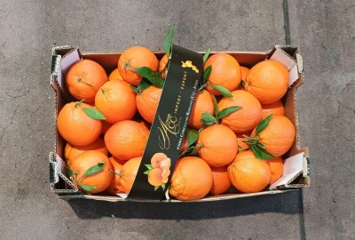 Foto Arance Varietà New Hall Calibro 90 Origine Italia Marchio Cartone Nero  3