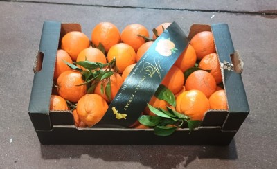 Foto Arance New Hall Calibro 108 Origine Italia Marchio Altimari 1