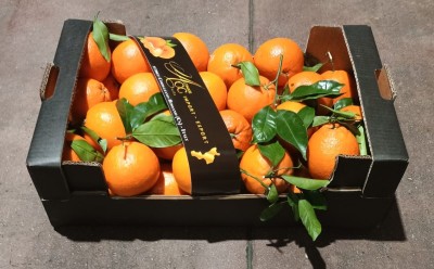 Foto Arance Varietà New Hall Calibro 108 Origine Italia Marchio Cartone Nero  1