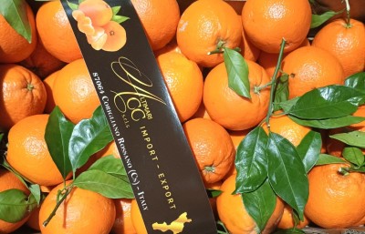 Foto Arance Varietà New Hall Calibro 108 Origine Italia Marchio Cartone Nero  2