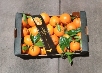 Foto Arance Varietà New Hall Calibro 108 Origine Italia Marchio Cartone Nero  3