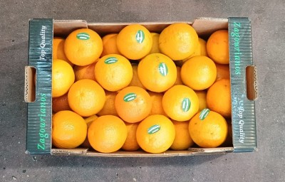 Foto Arance Varietà Navel Calibro 4/5 Origine Grecia Marchio Cartone Nero      3