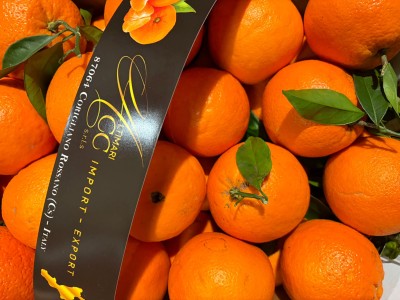 Foto Arance Navel Calibro 72 Origine Italia Marchio Altimari       2