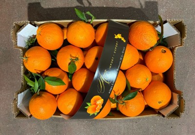 Foto Arance Navel Calibro 72 Origine Italia Marchio Altimari       3
