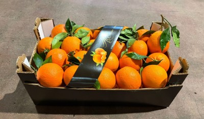 Foto Arance Navel Calibro 90 Origine Italia Marchio Altimari         1