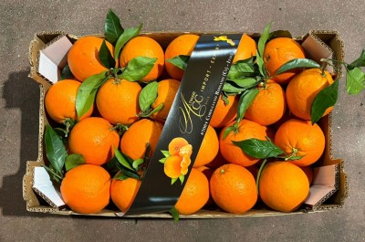 Foto Arance Navel Calibro 90 Origine Italia Marchio Altimari         3