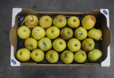 Foto Mele Renette lavorazione in  Doppio Strato Calibro  75/80 Origine Italia Marchio Melinda 3