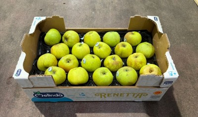 Foto Renette Calibro 75/80 Lavorazione in Doppio Strato Origine Italia Marchio Melinda           1