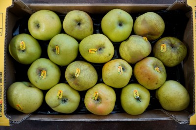 Foto Renette Varietà Canada Calibro 80/85 Lavorazione in Padella  origine Italia Marchio Melasì      1