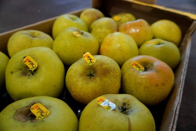 Foto Renette Varietà Canada Calibro 80/85 Lavorazione in Padella  origine Italia Marchio Melasì      2
