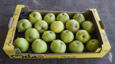 Foto Mele Renette Calibro 80/85 Origine Italia Marchio Melasi 1