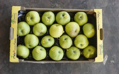 Foto Mele Renette Calibro 80/85 Origine Italia Marchio Melasi 3