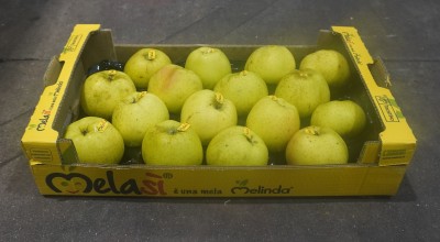 Foto Mele Renette Calibro 85/90 Origine Italia Marchio Melasi 1