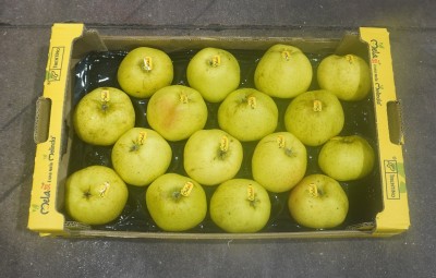 Foto Mele Renette Calibro 85/90 Origine Italia Marchio Melasi 3