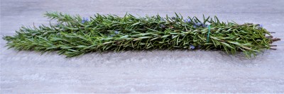 Foto Rosmarino  A mazzi Origine Italia Marchio Agriroma 2