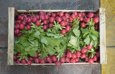 Foto Ravanelli Origine Italia Marchio Copla 3