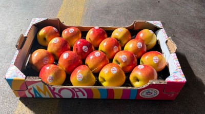 Foto Mele Samboa Calibro 18 Origine Brasile Marchio Samboia  1