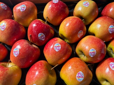 Foto Mele Samboa Calibro 18 Origine Brasile Marchio Samboia  2