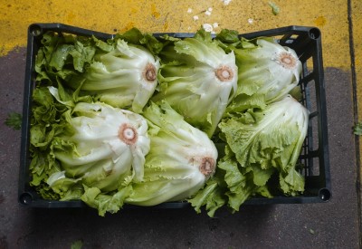 Foto Scarola Origine Italia Marchio Di Mottola 2