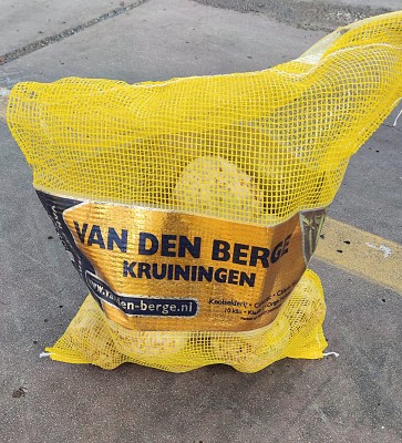 Foto Sedano Rapa Origine Olanda Marchio Staay food 1