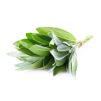 Foto Salvia  A mazzi Origine Italia Marchio Agriroma 1