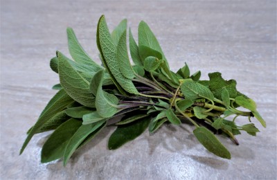 Foto Salvia  A mazzi Origine Italia Marchio Agriroma 2