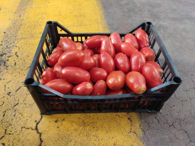 Foto Pomodoro San Marzano Origine Italia Marchio Capobianco 1