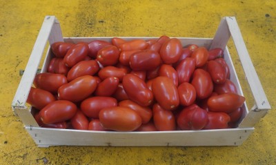 Foto San Marzano Rosso Origine Italia Marchio Giacobbe Aldo  1
