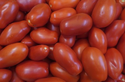 Foto San Marzano Rosso Origine Italia Marchio Giacobbe Aldo  2
