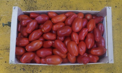 Foto San Marzano Rosso Origine Italia Marchio Giacobbe Aldo  3