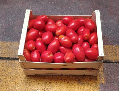 Foto Pomodoro San Marzano Rosso Origine Italia Marchio Capobianco 1