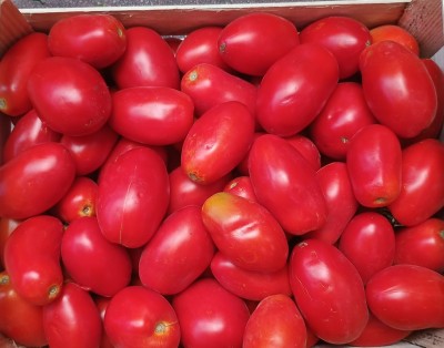 Foto Pomodoro San Marzano Rosso Origine Italia Marchio Capobianco 2