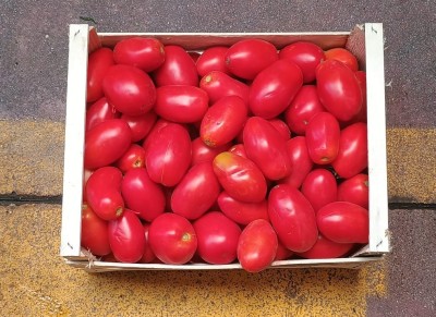 Foto Pomodoro San Marzano Rosso Origine Italia Marchio Capobianco 3