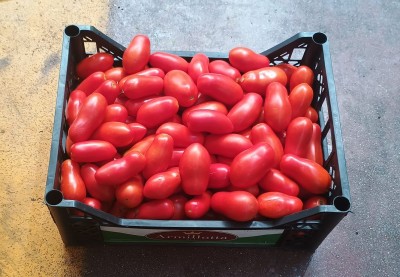 Foto San Marzano Rosso Origine Italia Marchio Armillotta 1
