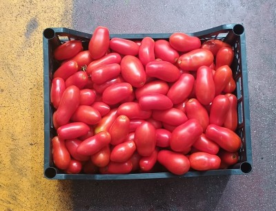 Foto San Marzano Rosso Origine Italia Marchio Armillotta 3