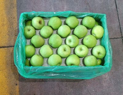 Foto Mele Smith Varietà Granny Smith Calibro 90 Origine Sud Africa Marchio Agricola Gloria             2