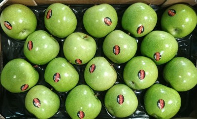Foto Mele Smith Varietà Granny Smith Calibro 18 Origine Italia Marchio Rivoira 2