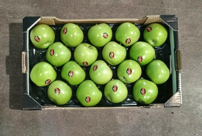 Foto Mele Smith Varietà Granny Smith Calibro 18 Origine Italia Marchio Rivoira 3