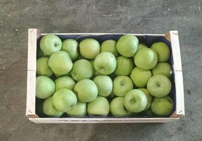 Foto Mele Smith Origine Italia Marchio Vanacore 3