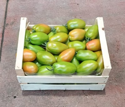 Foto Nerina Origine Italia Marchio Giurardella  1