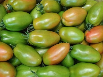 Foto Nerina Origine Italia Marchio Giurardella  2