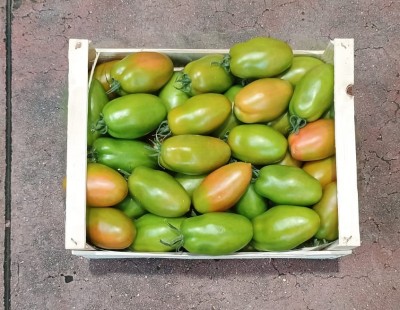 Foto Nerina Origine Italia Marchio Giurardella  3