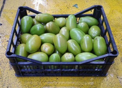 Foto Nerina Origine Italia Marchio Agriroma 1