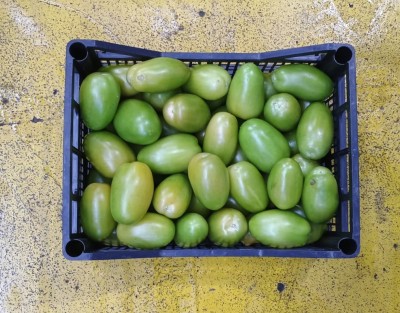 Foto Nerina Origine Italia Marchio Agriroma 3